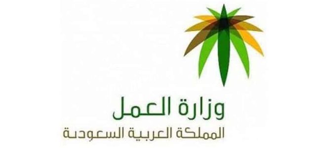 الاستعلام عن رخص العمل سواء كانت 100 او 2500 استعلام عن رخص العمل
