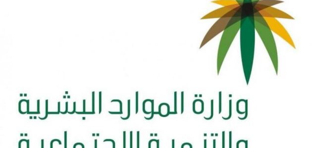هل يحق للموظف الحكومي العمل في وظيفتين وشروط الجمع العمل في وظيفتين