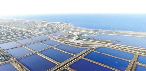دراسة جدوى مزرعة أسماك وأرباح المشروع دراسة جدوى مزرعة أسماك