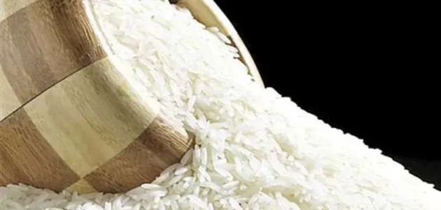 دراسة جدوى مشروع شراء الأرز من الفلاحين وتوريده إلى المضارب وأرباح المشروع الشهرية مشروع شراء الأرز من الفلاحين