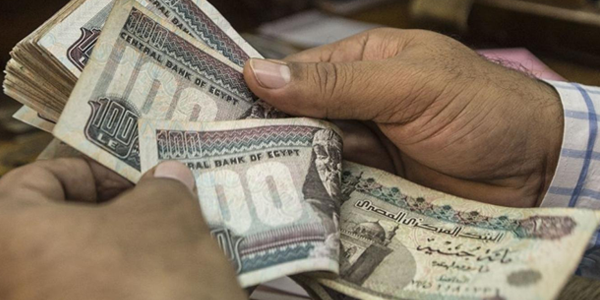 فكرة مشروع في حدود 40 ألف جنيه مربح مشروع في حدود 40 ألف جنيه