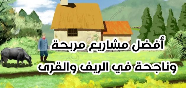 أفكار مشاريع في الريف أرباحها مضمونة مشاريع في الريف