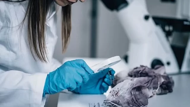 راتب الطبيب الشرعي في السعودية راتب الطبيب الشرعي في السعودية