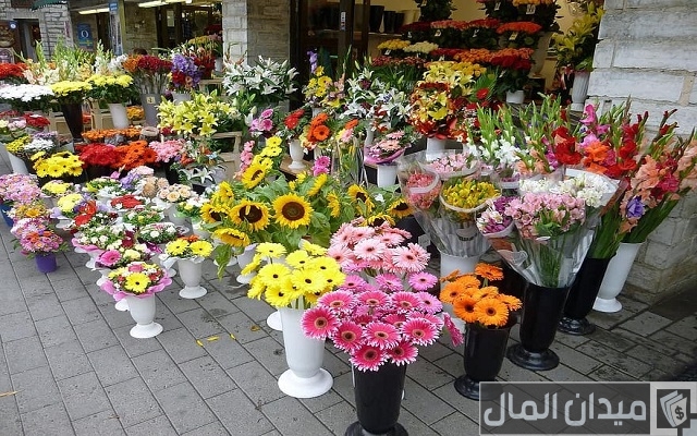 250 أسماء محلات ورد لمشروعك