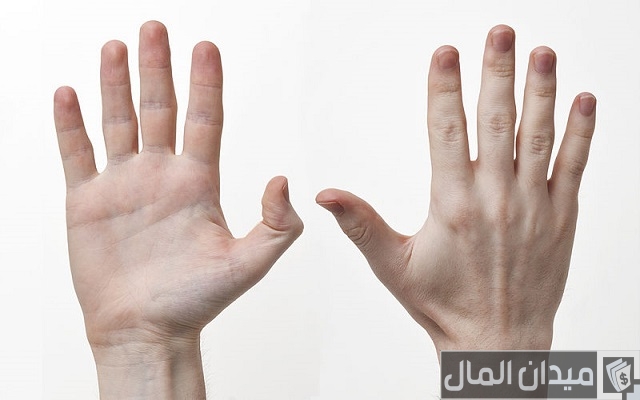 اسماء اصابع اليد