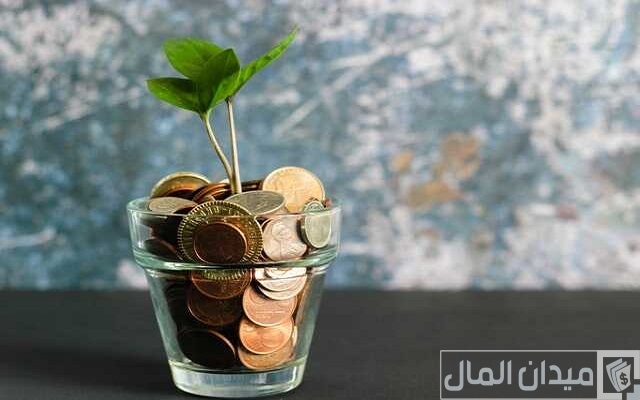 5 افكار ابداعية للتحويش