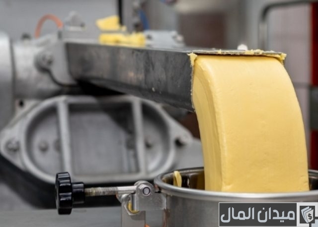 دراسة جدوى مشروع سمن جاهزة
