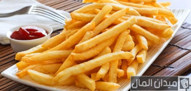 عيوب مشروع بطاطس نصف مقلية