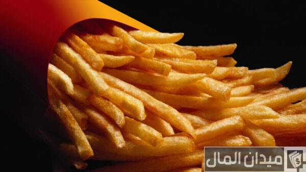 عيوب مشروع بطاطس نصف مقلية