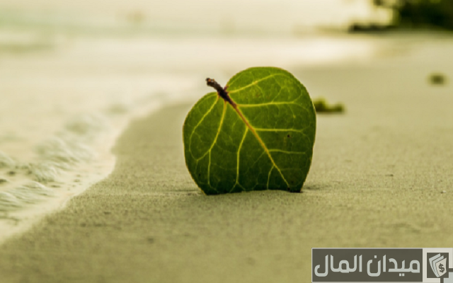 90 كابشن للصور الشخصية عربية وانجليزية