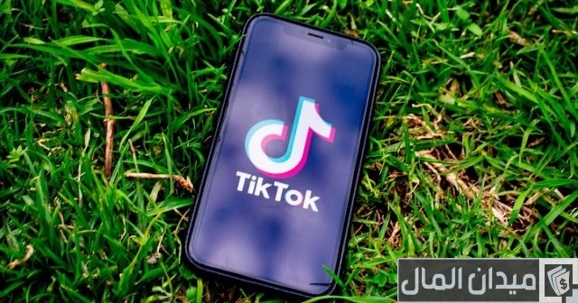 كم يدفع التيك توك على اللايكات