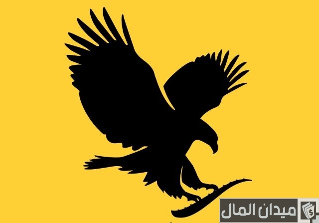 مين اشتغلت في شركة فوريفر   