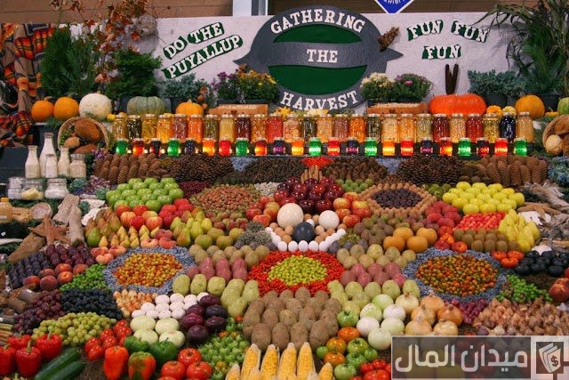 نصائح عرض الخضار والفواكه وعوامل نجاح المشروع