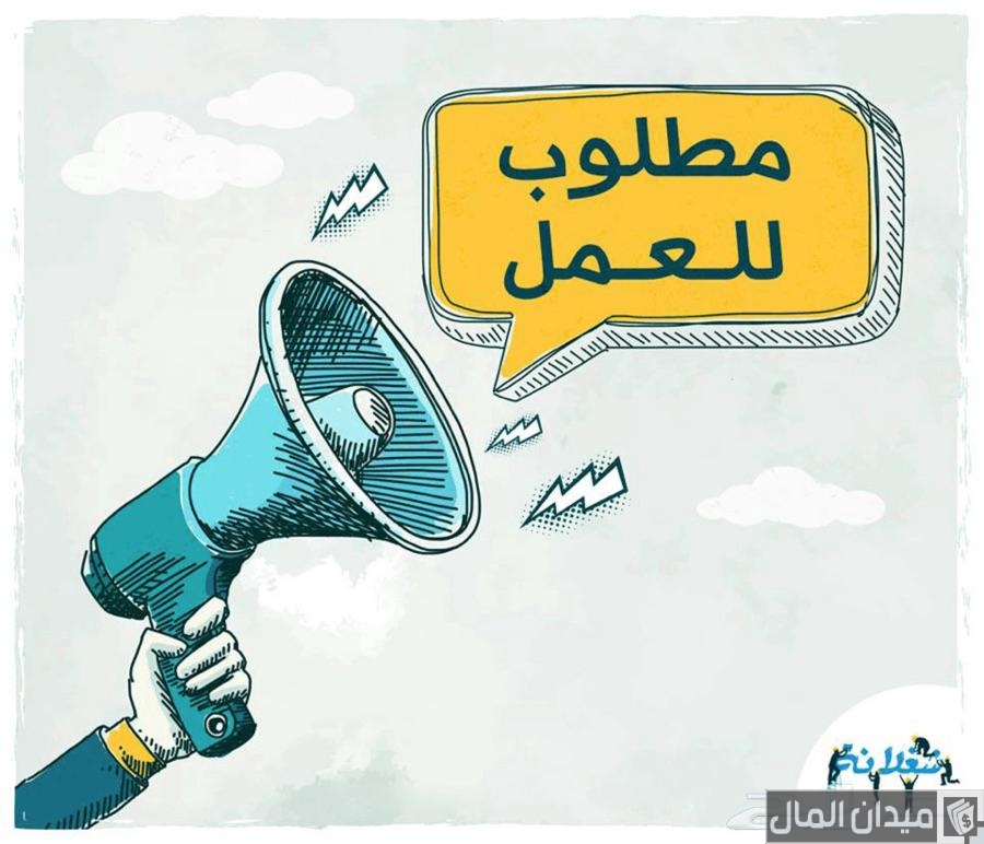 شرح نشر اعلان وظائف مجاني بدون تسجيل