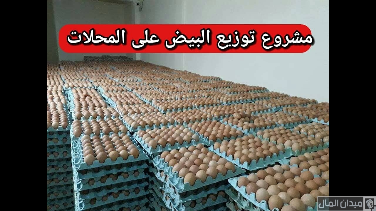 دراسة جدوى مشروع توزيع البيض على المحلات دراسة جدوى مشروع توزيع البيض على المحلات