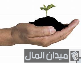 دراسة جدوى مشروع أسمدة ومبيدات دراسة جدوى مشروع أسمدة ومبيدات