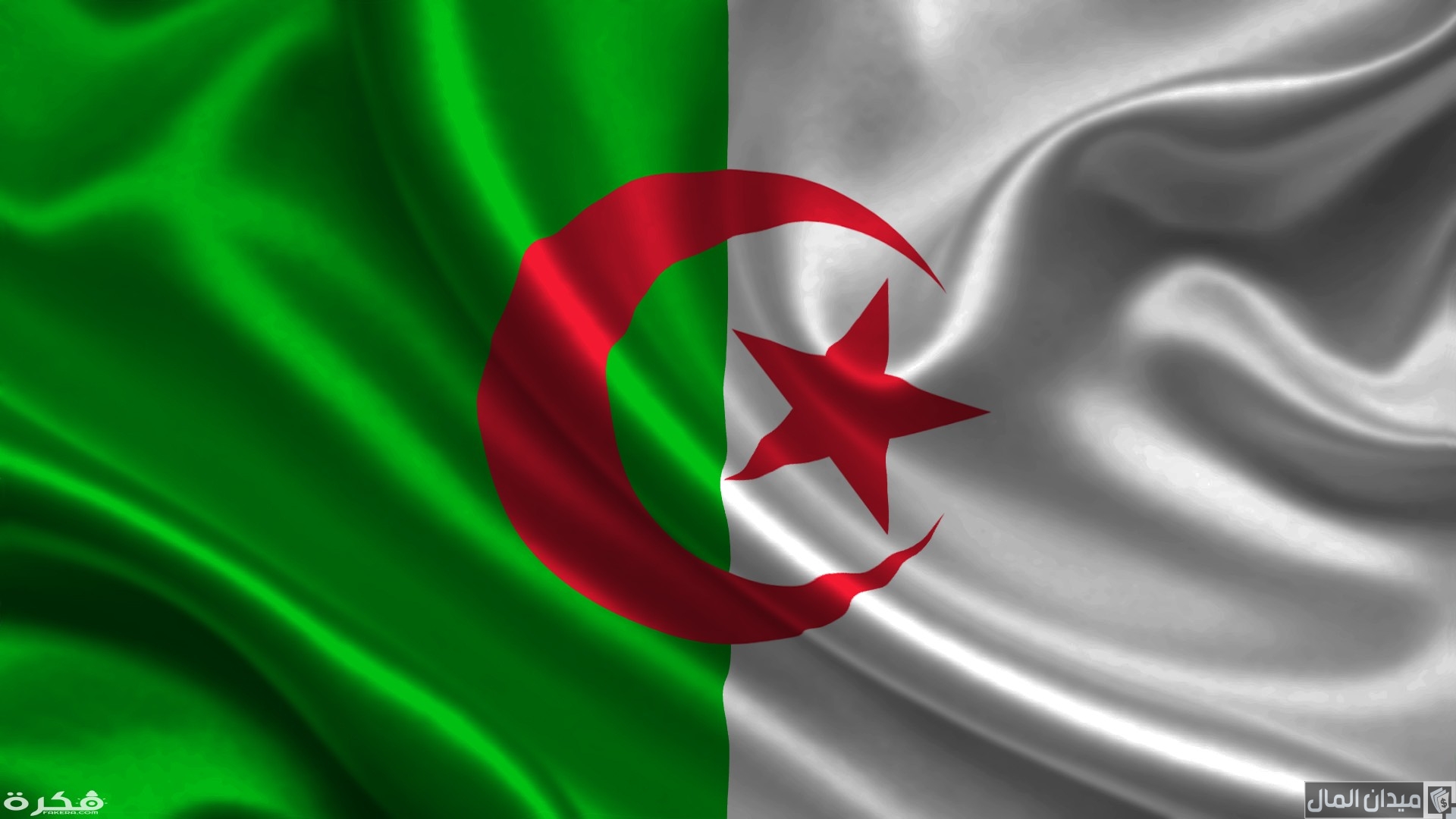 أحسن تجارة مربحة في الجزائر ومضمونة