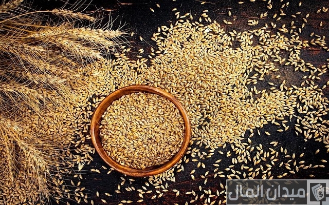 أحسن أنواع حبوب الشعير