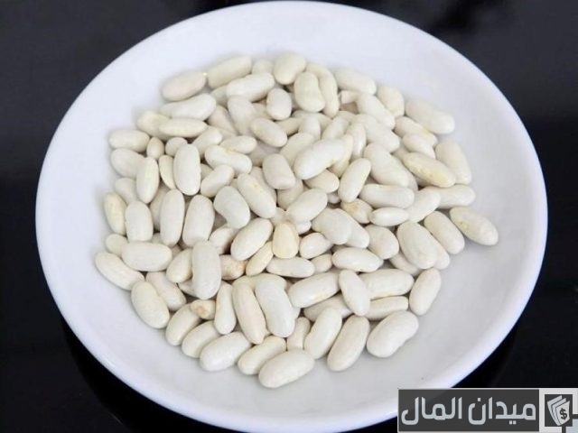 الفاصولياء البيضاء