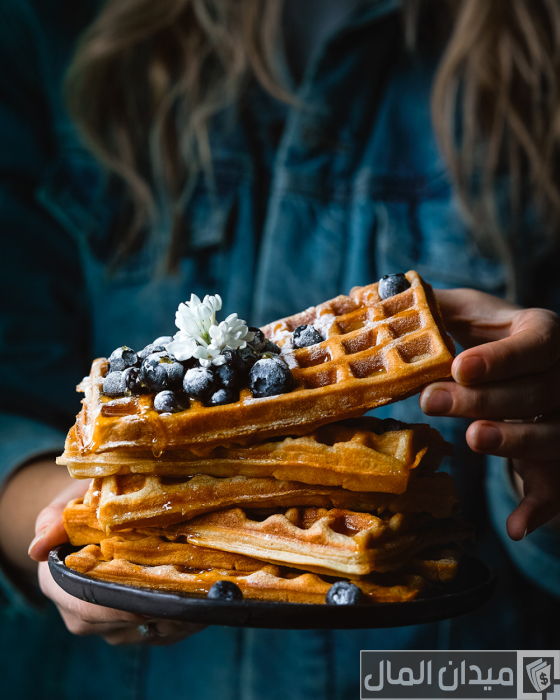 دراسة جدوى مشروع وافل