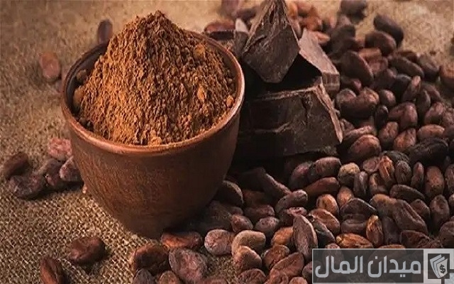 زراعة شجرة الكاكاو في مصر زراعة شجرة الكاكاو في مصر