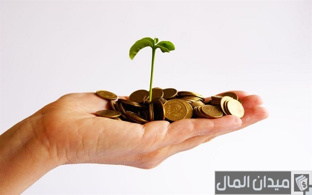 شروط تمويل قروض المشروعات متناهية الصغر في مصر