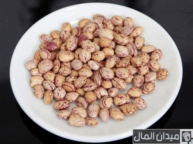 فاصولياء بينتو