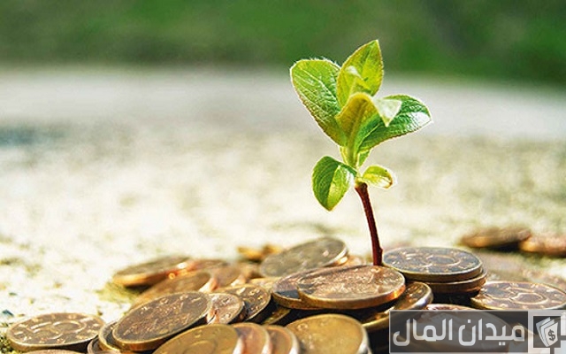 أنواع الاستثمار في البنوك الإسلامية