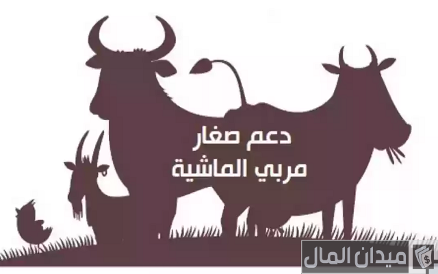 مبلغ إعانة مربي المواشي وخطوات الحصول على إعانة