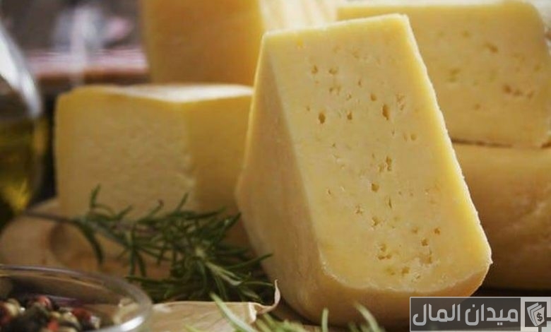 دراسة جدوى مشروع صناعة الجبن الرومي وماكينات تصنيع الجبن الرومي