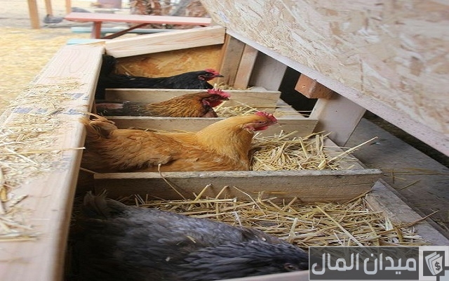 أفكار مشاريع لربح المال مبتكرة للشباب ناجحة