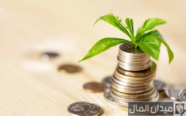 أفكار مشروعات صغيرة ناجحة مربحة بالمنزل