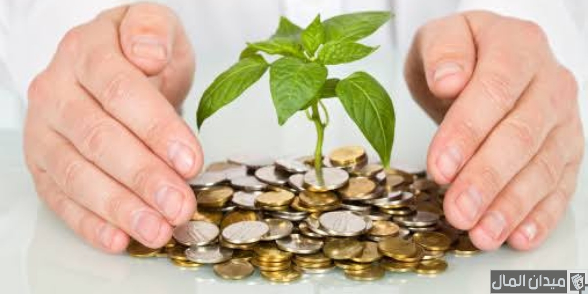 كيف أستثمر أموالي في مشروع ناجح
