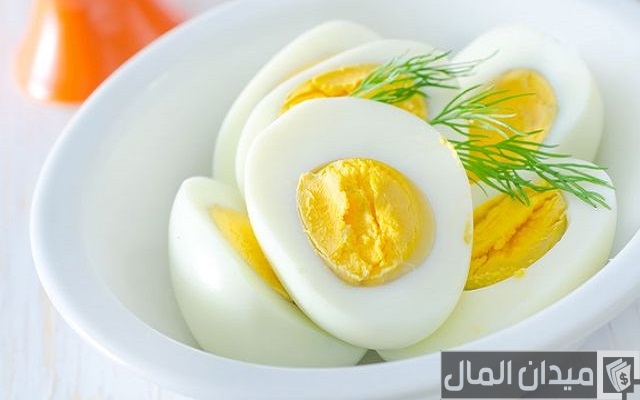 دراسة جدوى مشروع انتاج بيض المائدة