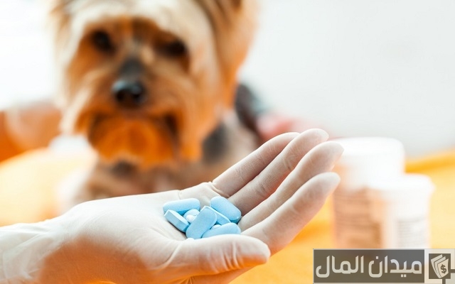 دراسة جدوى مصنع أدوية بيطرية