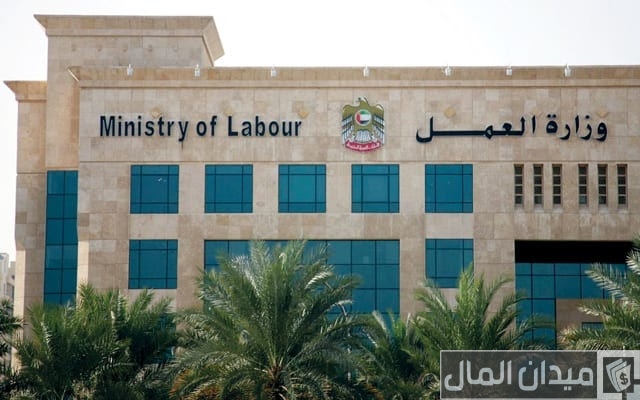 رقم خدمة العملاء وزارة العمل المجاني
