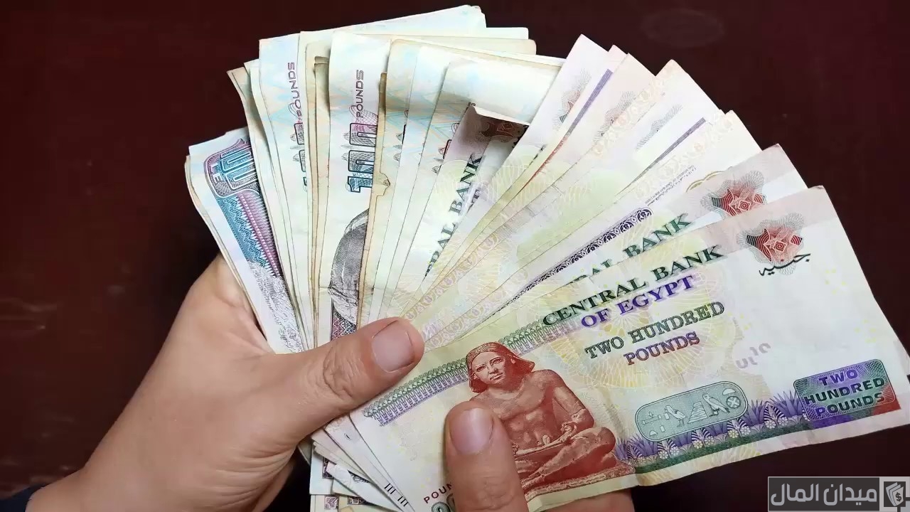 مشروع برأس مال 100 الف جنية ناجح ومضمون