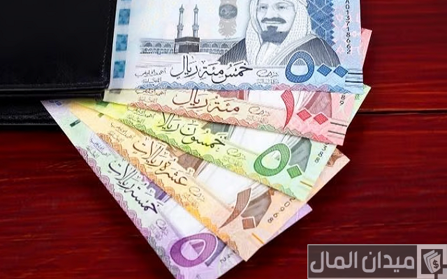 أسماء شركات استثمار الأموال في السعودية