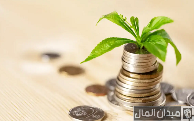 كيف تبدأ مشروع بمبلغ بسيط ومضمون نجاحة