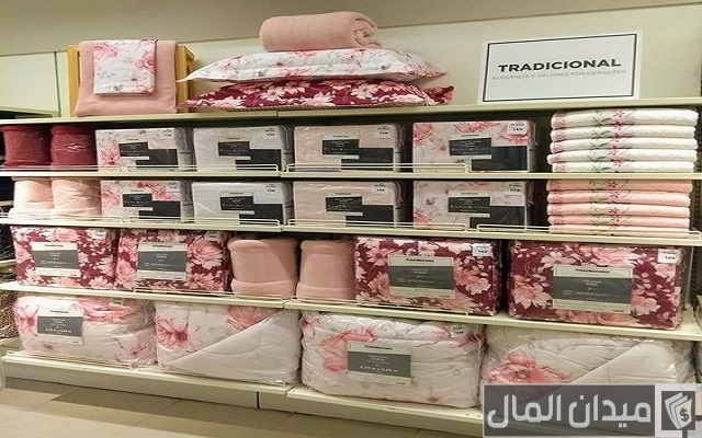 مجموعة أفكار مشاريع برأس مال صغير وربح كبير