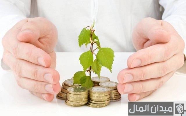 أفكار مشاريع مربحة في الشتاء مربحة وناجحة