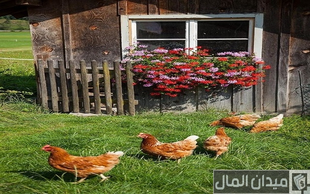 أفكار مشاريع علمية مربحة وناجحة