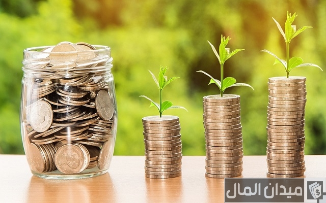 مشروع برأس مال 10 آلاف جنيه مربح بدراسة جدوى له