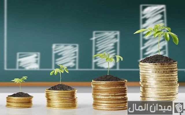 فكرة مشروع دخله ممتاز وناجح