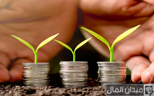 مشروع دخله ممتاز