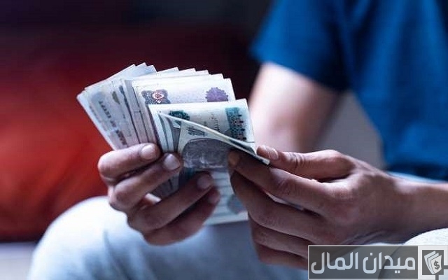 مشروع في حدود 20 ألف جنيه ناجح ومضمون