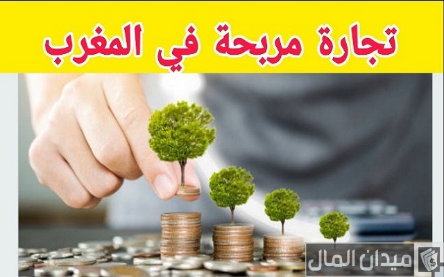 مشروع في المغرب بـ 40000 درهم مربح ومضمون