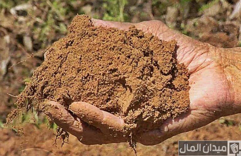 أنواع الطين