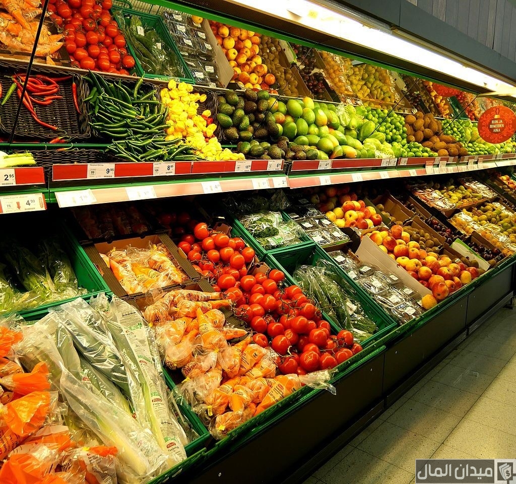دراسة جدوى مشروع محل بيع خضار وفواكه وأرباح المشروع