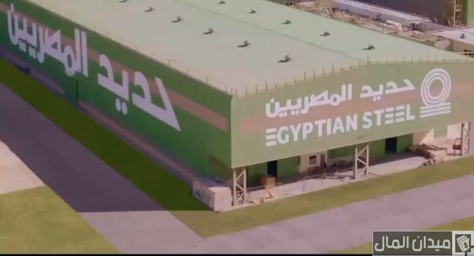شروط الحصول على توكيل حديد المصريين